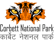 Best Corbett National Park Official Site