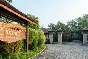Best Jim Corbett Staying Options Top Stay at Jim Corbett National Park