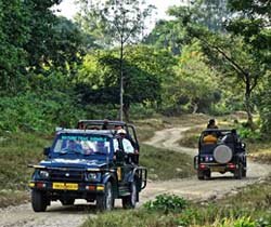 Bijrani Zone | Jim Corbett National Park Online Booking