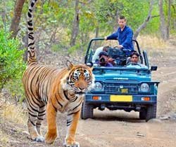 Jeep Safari in Jim Corbett National Park