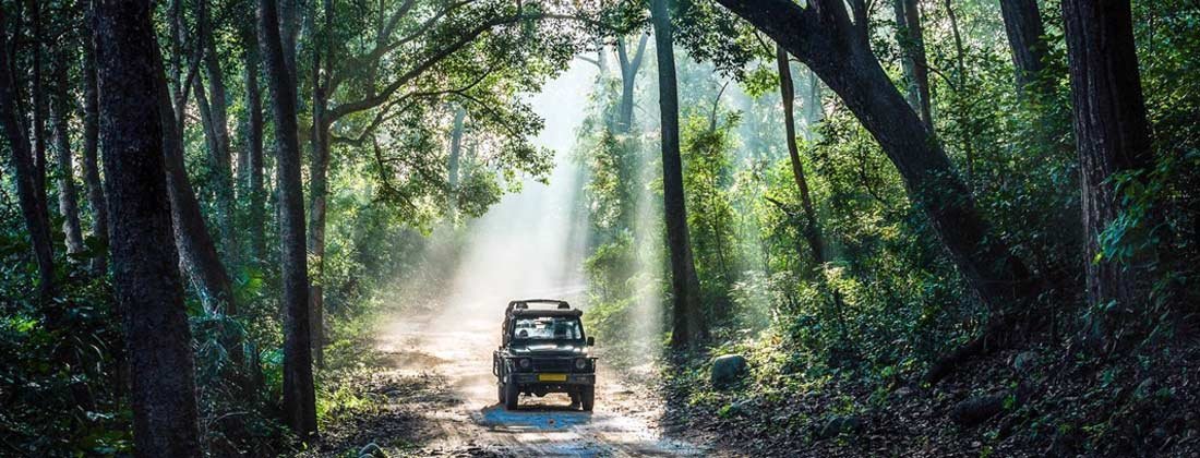 Jimcorbett Jeep Safari Booking