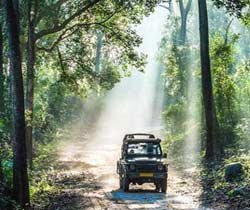 Best Corbett Tiger Reserve Official Website