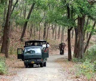 Best Jim Corbett Tourism