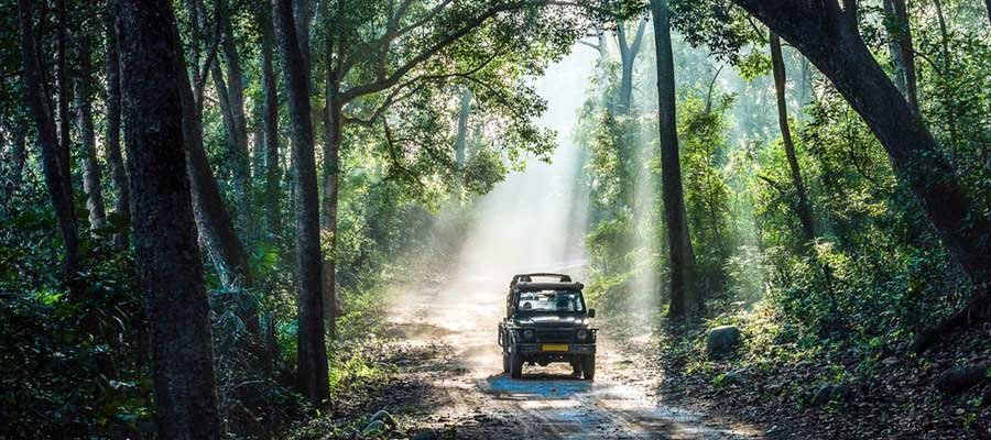 Best Corbett National Park