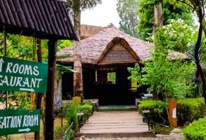 Corbett Machaan Resort | Jim Corbett National Park