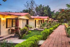 Manu Maharani Resort | Jim Corbett National Park