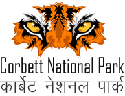 Corbett Safari Booking